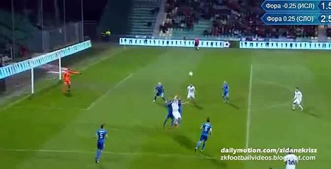 0-1 Alfred Finnbogason Goal - Slovakia v. Iceland 17.11.2015 HD