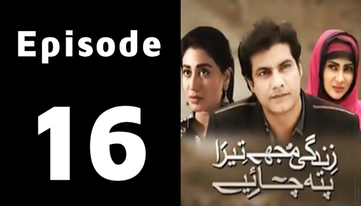 Zindagi Mujhay Tera Pata Chahiye Episode 16 Full on Ptv Home in High Quality
