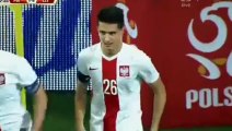 Arkadiusz Milik Goal - Poland vs Czech Republic 1-0 Friendly Match 2015