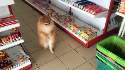 j ai trouvé quelqu'un pour m aider a porter mes courses!!!
