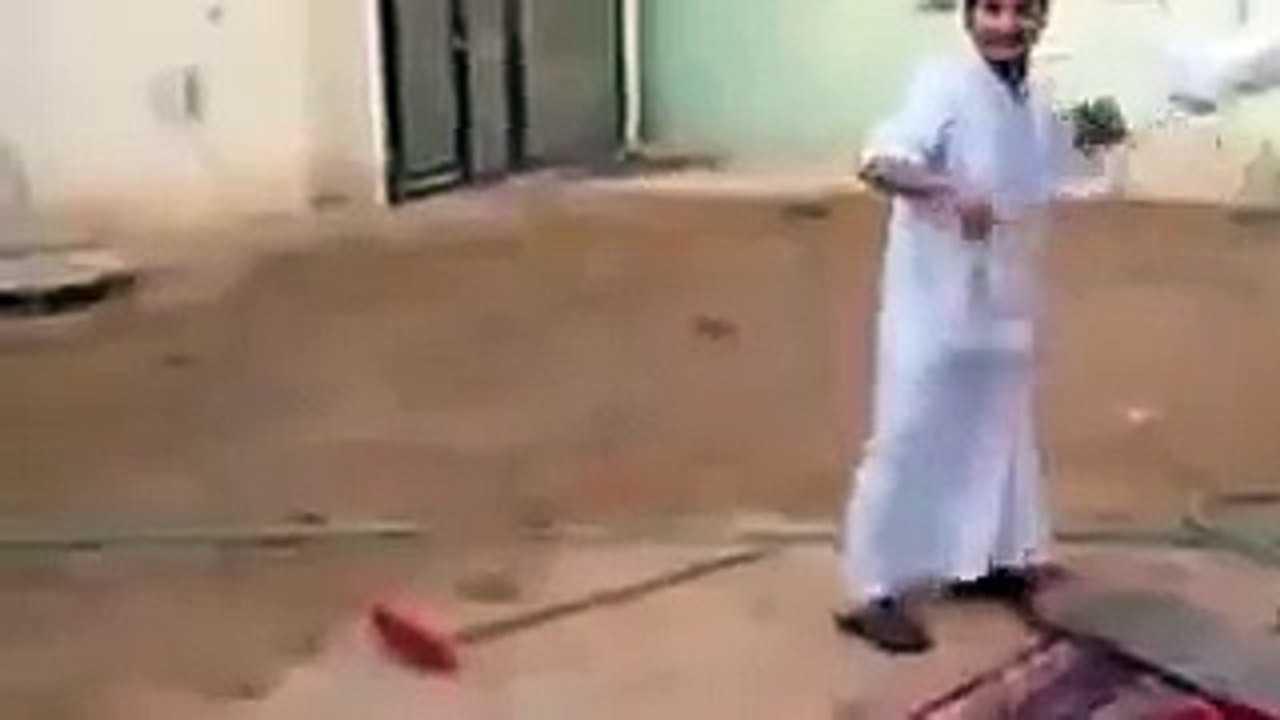 no dancing dog