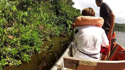 Anaconda Attacks a Man Live Video - Worlds Largest Snake