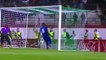 أهداف الجزائر و تنزانيا 7-0 كاملة  تعليق حفيظ دراجي HD