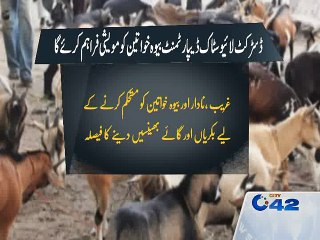 District Livestock Department will provide cattle to widows
