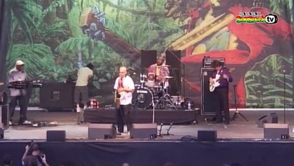 NEW YORK SKA JAZZ ENSEMBLE live @ Main Stage 2010