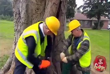 Quand la peur tue plus que le danger, cela donne ceci...
