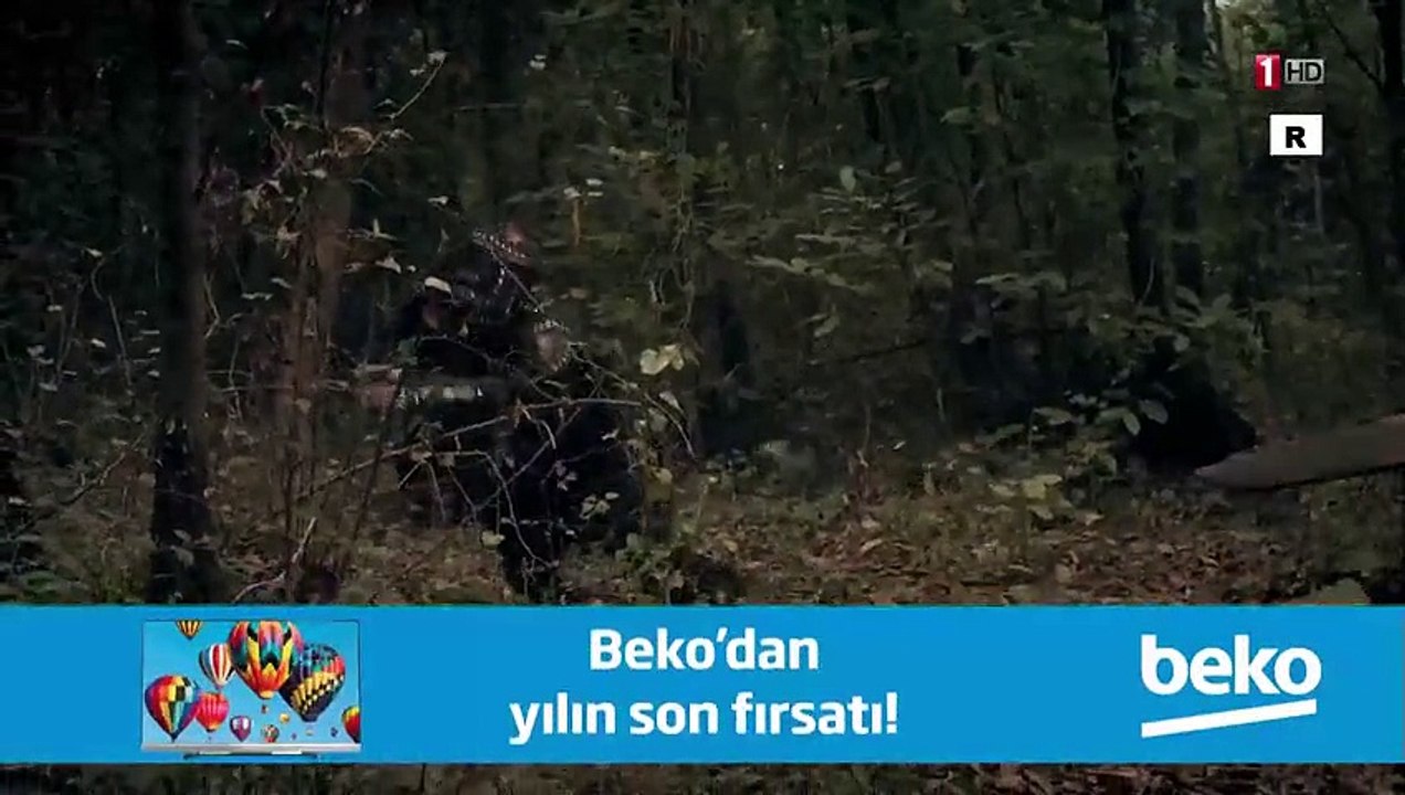 de3
