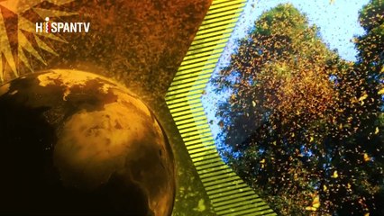 Enfoque - Turquía: El G20 se centra el asunto sirio y la economía