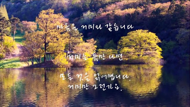 바이올린연주곡 J S Bach Air from the Suite in D BWV 1068(좋은글/영상글 마음을 옭아메지 마세요) [HD]