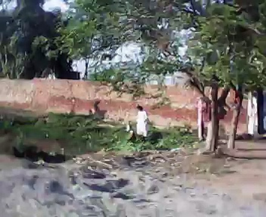 MOV_0000101