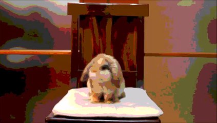 SassoBrownie - Remix by Dj Foka ft.ErScrat, LasPadovanas & DjAnanas - 2k15