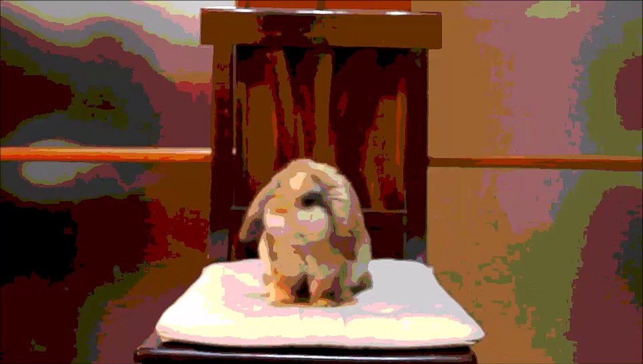 SassoBrownie - Remix by Dj Foka ft.ErScrat, LasPadovanas & DjAnanas - 2k15