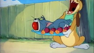 Tom and Jerry, 35 Episode - The Truce Hurts (1948)