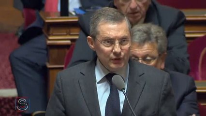 Attentats de Paris : " Vous annoncez une révision constitutionnelle, qu'entendez-vous derrière cette mesure ? "