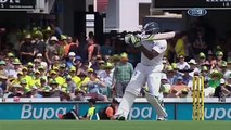 Tribute to Mitchell Johnson