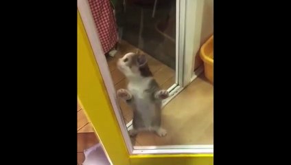 "Dancing By Myself inst."  By Otis Thick