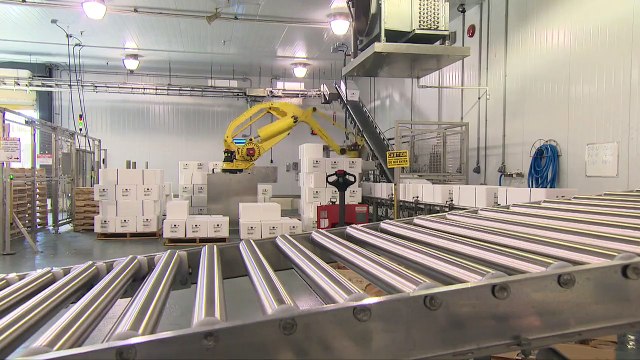 Salmon Farming: Growing Fish Sustainably | BC Salmon Farmers Association