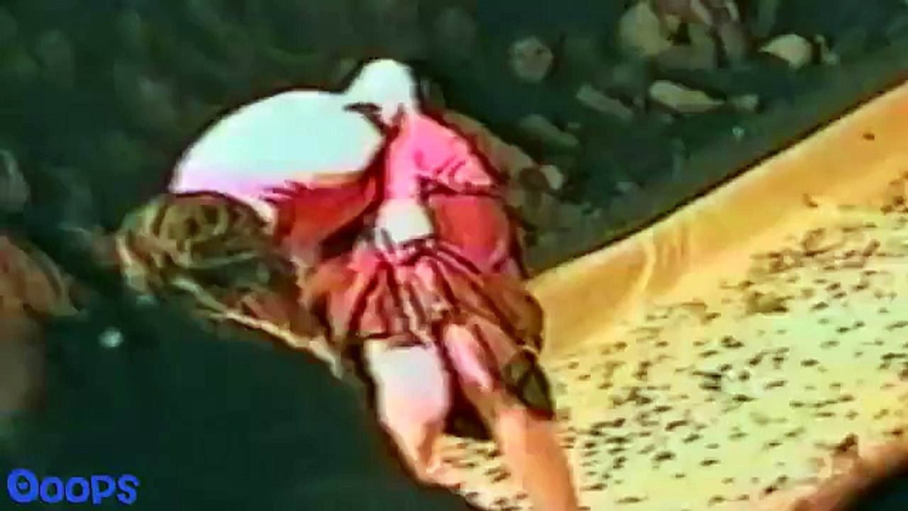 Best Of Funny Fails Compilation 2015