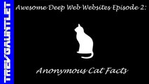 Awesome Deep Web Websites Episode 2: Anonymous Cat Facts