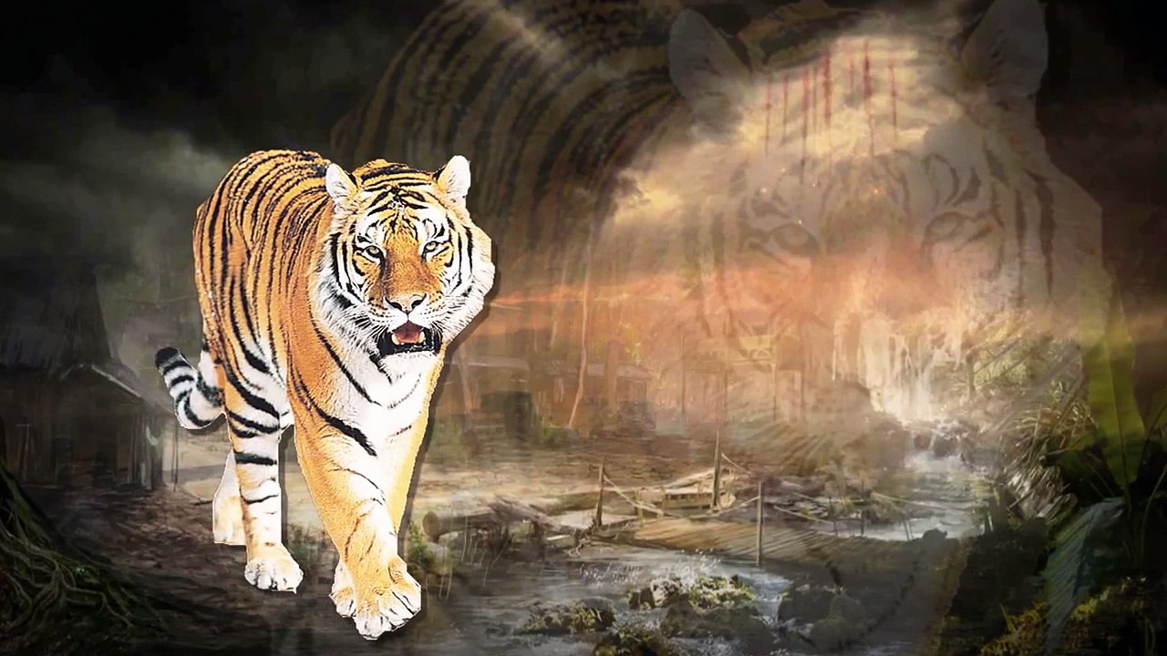 Tiger Cartoons Finger Family Children Nursery Rhymes _ Tiger Finger Family Rhymes For Children