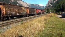 Canadian Pacific train of approx 150 grain hoppers departs Field, BC