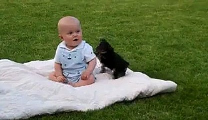 Puppy Attacks Baby - Very Cute & Funny Video - Video Dailymotion