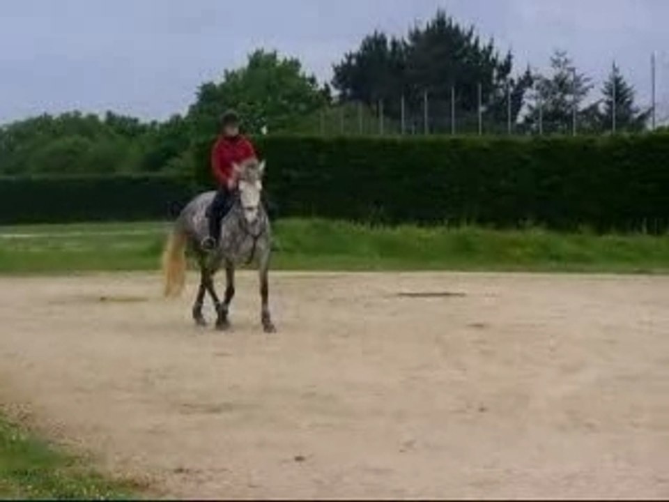Cession à la jambe