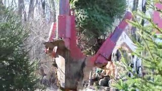 See The Digging of a Christmas Tree at HH Farm