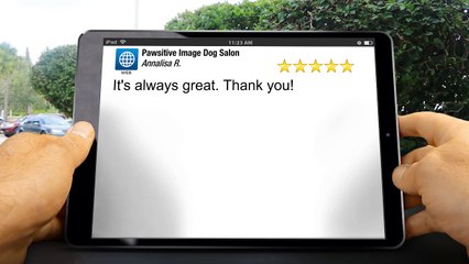 Pawsitive Image Dog Salon  Perfect 5 Star Review by Annalisa R.