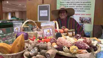 El Frente Parlamentario pide en Lima acabar con el hambre en América Latina