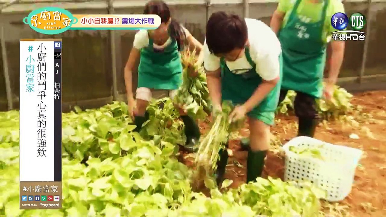 小廚當家-20150920