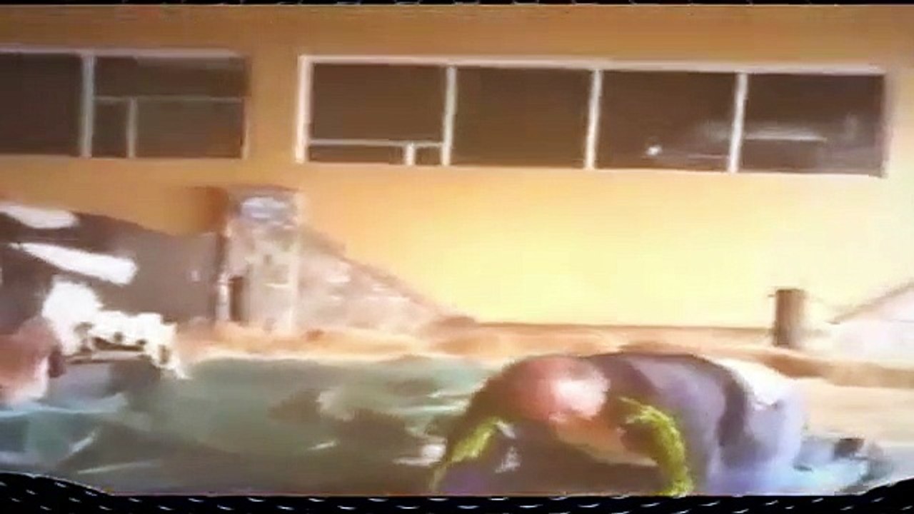Funny Videos Compilation December 2015