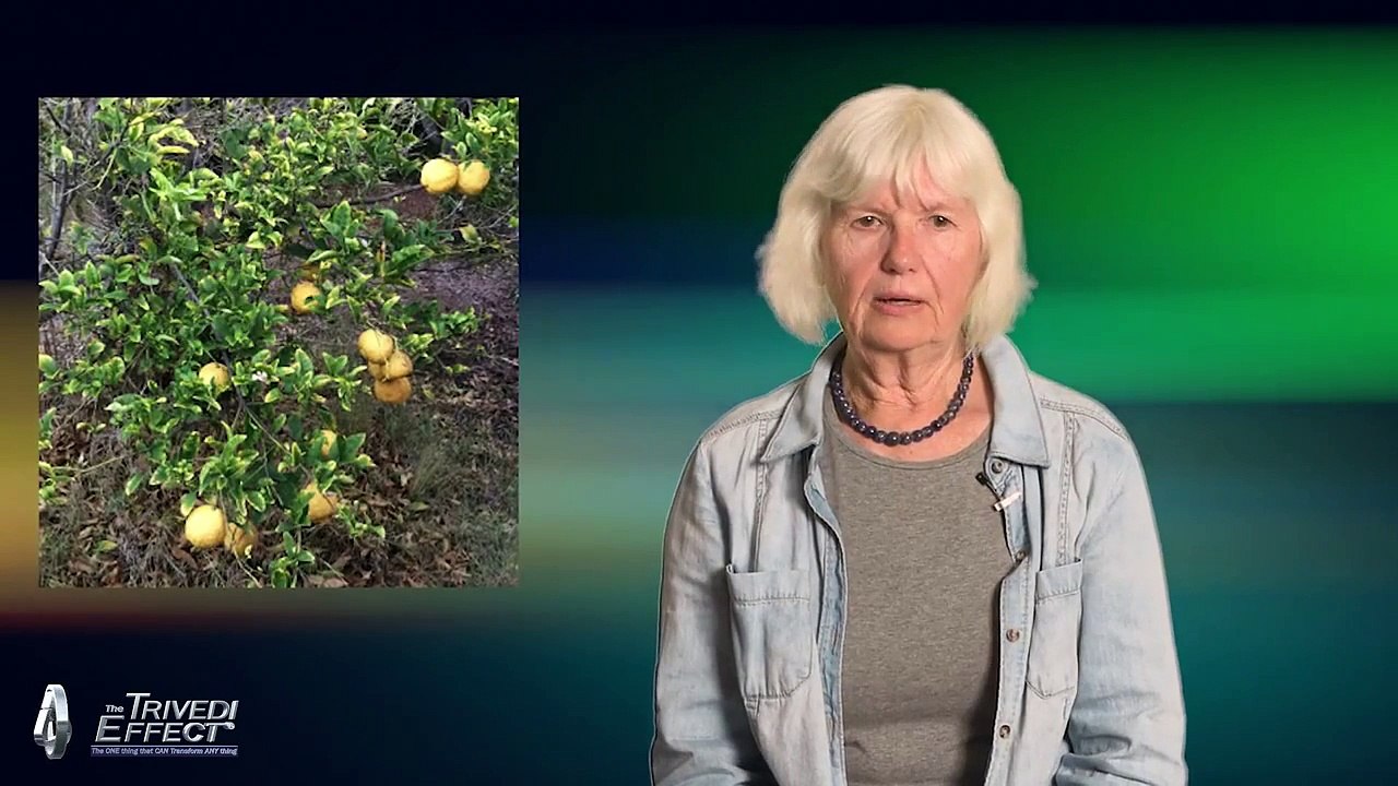 Effect of the Trivedi Water on Dead Trees - The Human Aura Field
