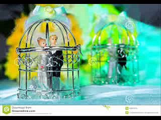 +91-9501893254KAMDEV VASHIKARAN SPECIALIST BABA JI  IN CALIFORNIA