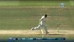 Best Cricket Run Outs in Cricket History (JUST AMAZING)