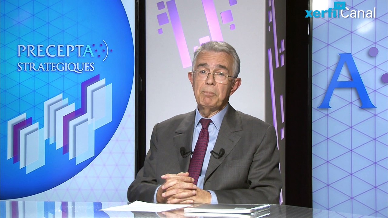 Michel Volle, Xerfi Canal L'informatisation criminelle