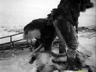 National Geographic Classic: Eskimo Hunters in Alaska The Freezing Life (Documentary HD)