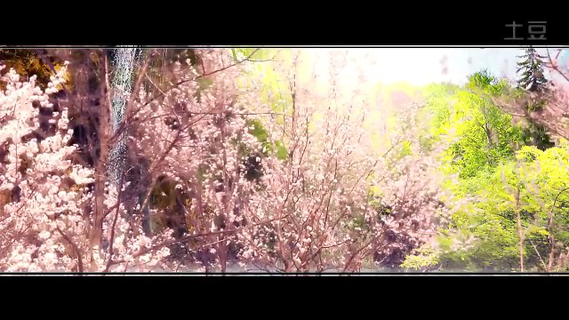 เพลง: ฮวาเชียนกู่:《 花千骨》MV【 花千骨X白子画�