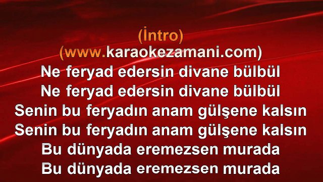 Sevcan Orhan - Ne Feryat Edersin Divane Bülbül - 2008 TÜRKÇE KARAOKE