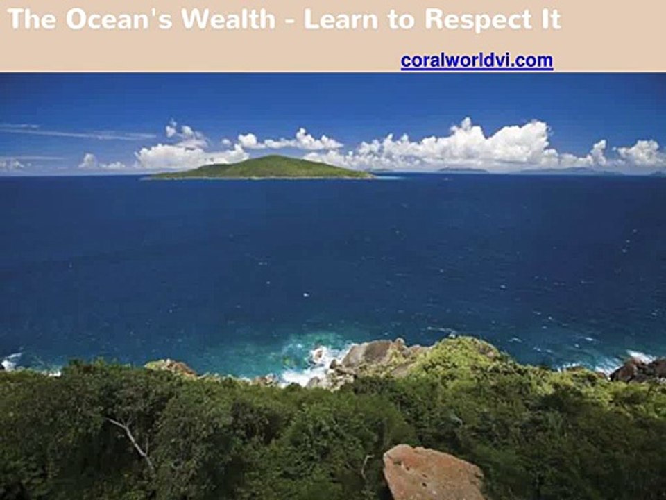 The Ocean's Wealth - Learn to Respect It.