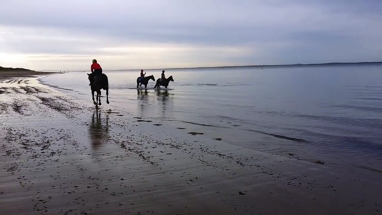 Une balade à cheval et une heureuse rencontre