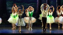 Promo 2015 - Serata di Balletto - Art Ballet di Francesco Tessitore
