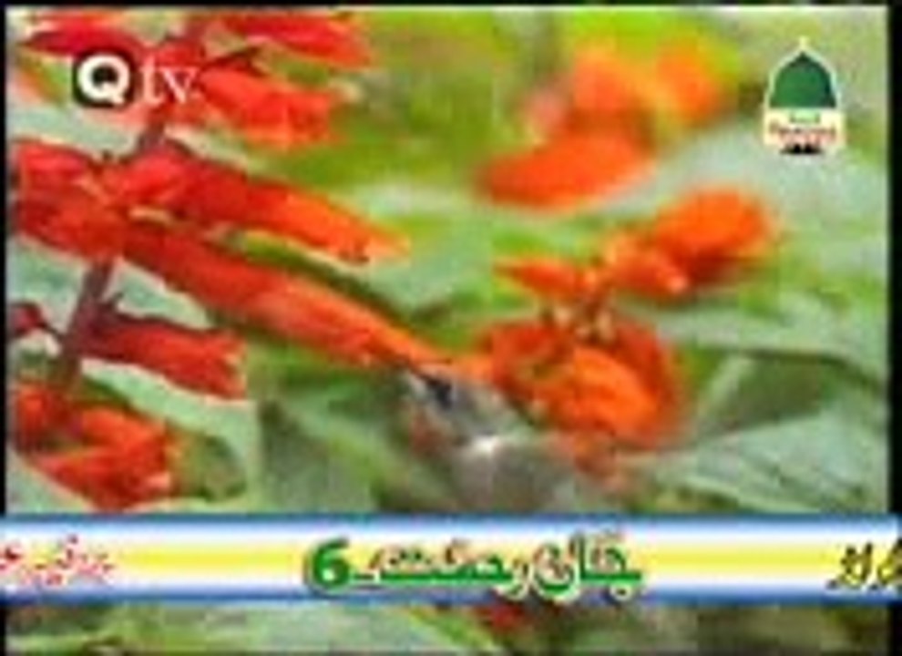 ameen khan
