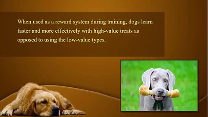 Is it Okay to Give Treats to Your Pets