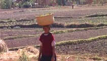 Projet d'Amitié France Madagascar : les vitrines agricoles dans 9 villages