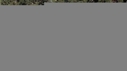 Nejat Uygur mezarı başında anıldı