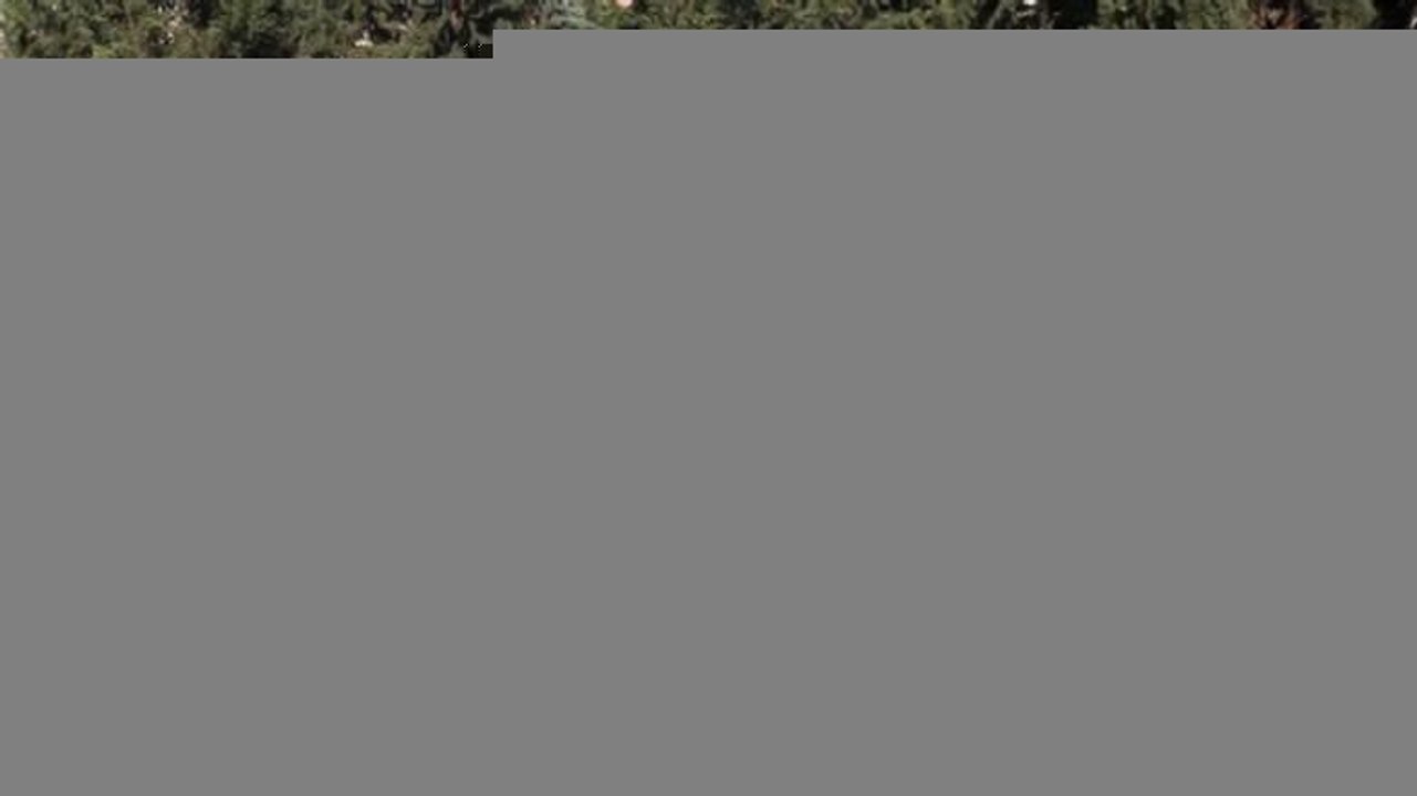 Nejat Uygur mezarı başında anıldı