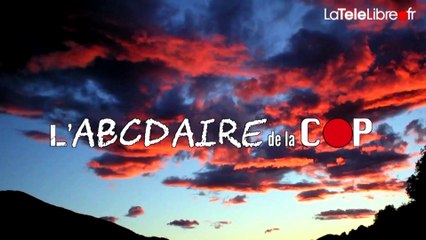 L'ABCDAIRE DE LA COP - PESSIMISTES AU BÛCHER