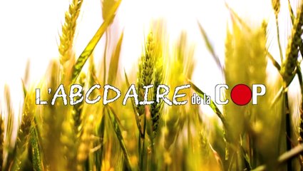 L'ABCDAIRE DE LA COP - "X", PAR LE DÉTECTIVE