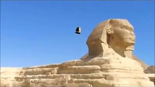 Ufo in Egypt